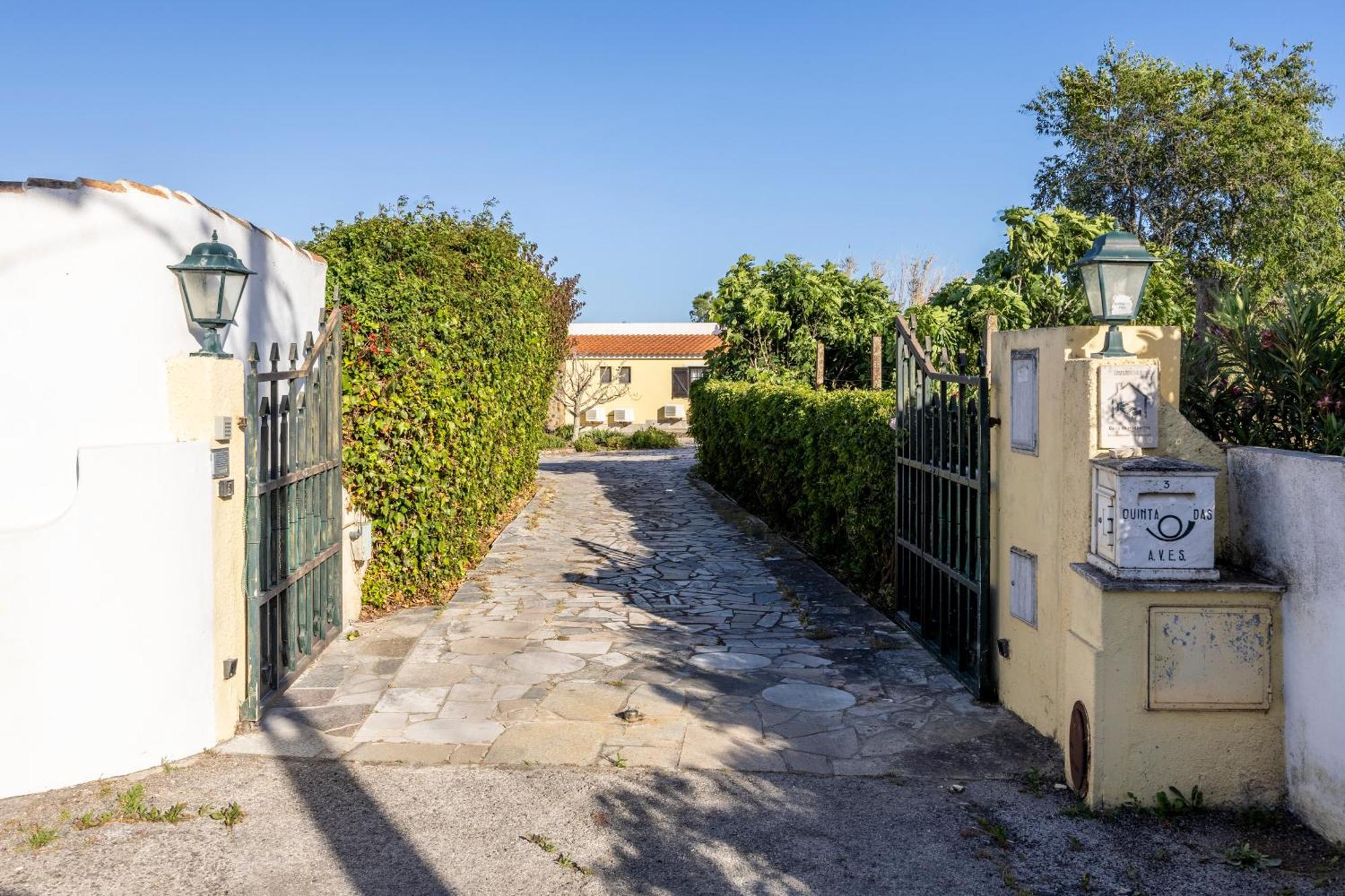 Quinta Das Aves Villa Pinheiral Exteriör bild